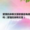 爱情抗体韩文版歌曲是电视剧插曲吗（爱情抗体韩文版）