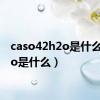 caso42h2o是什么（h2o是什么）