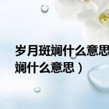 岁月斑斓什么意思（斑斓什么意思）