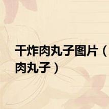 干炸肉丸子图片（干炸肉丸子）