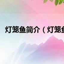 灯笼鱼简介（灯笼鱼）