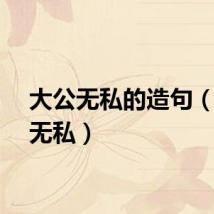 大公无私的造句（大公无私）