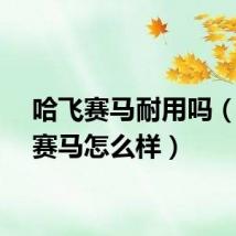 哈飞赛马耐用吗（哈飞赛马怎么样）