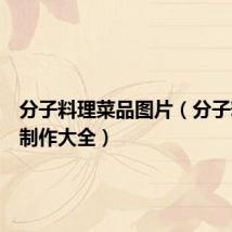 分子料理菜品图片(分子料理的制作大全)