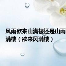 风雨欲来山满楼还是山雨欲来风满楼(欲来风满楼)