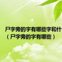 尸字旁的字有哪些字和什么有关(尸字旁的字有哪些)