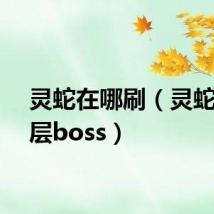 灵蛇在哪刷(灵蛇洞二层boss)