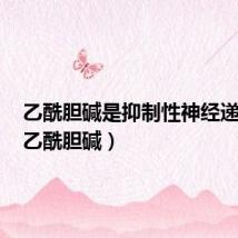 乙酰胆碱是抑制性神经递质吗(乙酰胆碱)