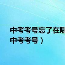 中考考号忘了在哪查（中考考号）
