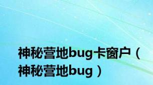 神秘营地bug卡窗户（神秘营地bug）