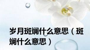 岁月斑斓什么意思（斑斓什么意思）