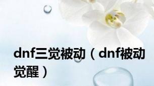 dnf三觉被动（dnf被动觉醒）