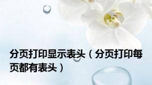分页打印显示表头（分页打印每页都有表头）