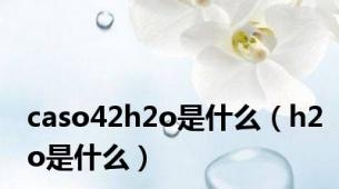 caso42h2o是什么（h2o是什么）