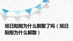 旭日阳刚为什么解散了吗（旭日阳刚为什么解散）