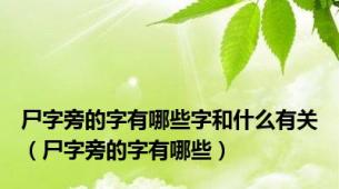 尸字旁的字有哪些字和什么有关（尸字旁的字有哪些）