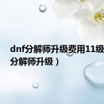 dnf分解师升级费用11级(dnf分解师升级)