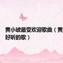黄小琥最受欢迎歌曲(黄小琥最好听的歌)