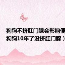 狗狗不挤肛门腺会影响便便吗(狗狗10年了没挤肛门腺)
