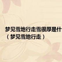 梦见雪地行走雪很厚是什么意思(梦见雪地行走)