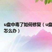 u盘中毒了如何修复(u盘中毒了怎么办)