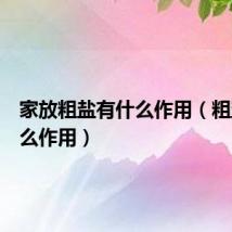 家放粗盐有什么作用(粗盐有什么作用)