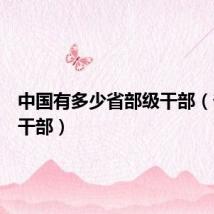 中国有多少省部级干部（省部级干部）