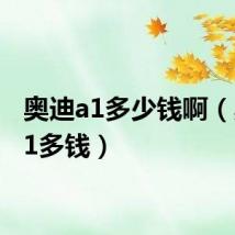 奥迪a1多少钱啊(奥迪a1多钱)