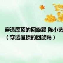 穿透屋顶的回旋踢 陈小艺电视剧(穿透屋顶的回旋踢)