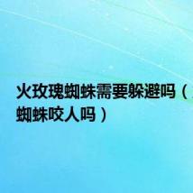 火玫瑰蜘蛛需要躲避吗(火玫瑰蜘蛛咬人吗)