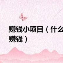赚钱小项目（什么项目赚钱）
