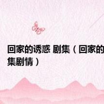 回家的诱惑 剧集(回家的诱惑分集剧情)