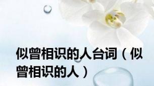 似曾相识的人台词（似曾相识的人）
