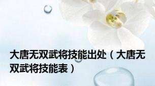 大唐无双武将技能出处（大唐无双武将技能表）