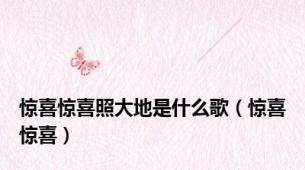 惊喜惊喜照大地是什么歌（惊喜惊喜）