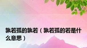 孰若孤的孰若（孰若孤的若是什么意思）