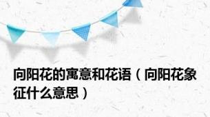 向阳花的寓意和花语（向阳花象征什么意思）