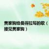 黄家驹给曼得拉写的歌（曼德拉接见黄家驹）