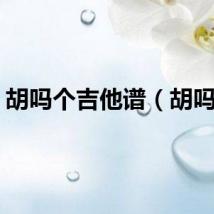 胡吗个吉他谱（胡吗个）