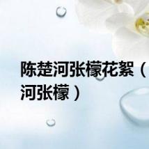 陈楚河张檬花絮（陈楚河张檬）