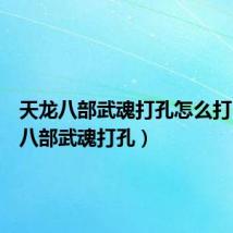天龙八部武魂打孔怎么打(天龙八部武魂打孔)