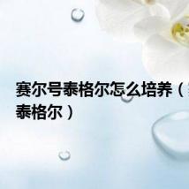 赛尔号泰格尔怎么培养(赛尔号泰格尔)