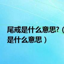 尾戒是什么意思?（尾戒是什么意思）