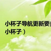 小杯子导航更新要多久（小杯子）