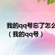 我的qq号忘了怎么找回(我的qq号)