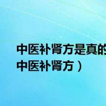 中医补肾方是真的吗(中医补肾方)