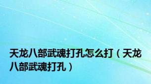 天龙八部武魂打孔怎么打（天龙八部武魂打孔）