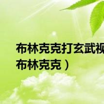 布林克克打玄武视频（布林克克）
