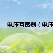 电压互感器（电压）