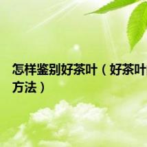 怎样鉴别好茶叶（好茶叶的辨别方法）